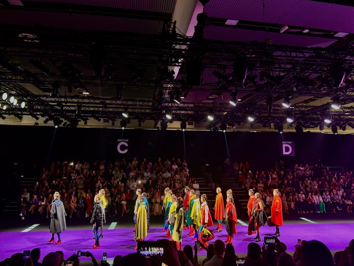 The authors view of the catwalk at Madrid Fashion Week in September.  